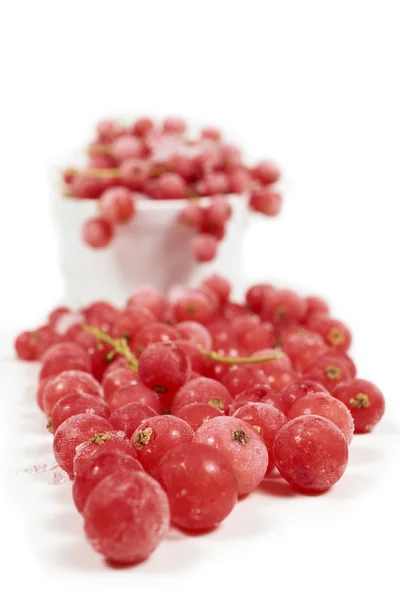 Makroaufnahme gefrorener Johannisbeeren — Stockfoto