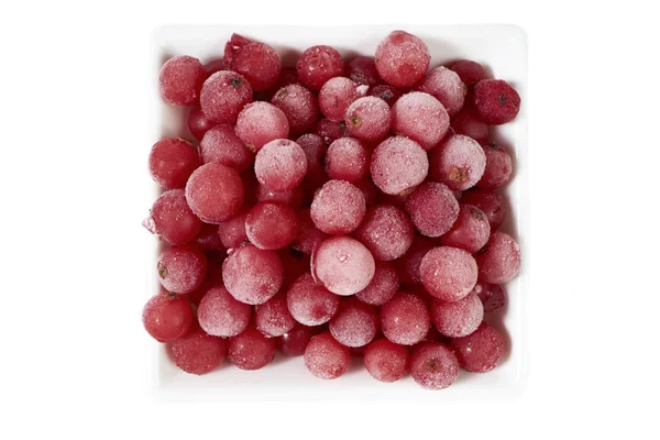 Top view of frozen currants in bowl — Stock Photo, Image