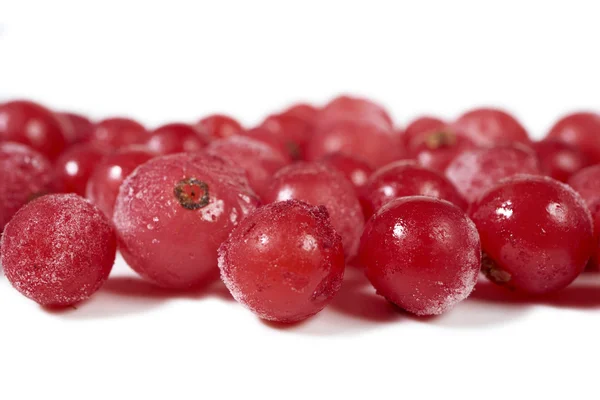 Some frozen currants on white — 图库照片