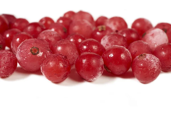 Einige gefrorene Johannisbeeren auf weiß — Stockfoto