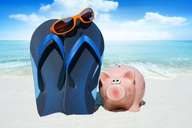 Pembe kumbara ve Flip flop