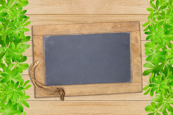 Slate board framed with woodruff — Stock Photo, Image