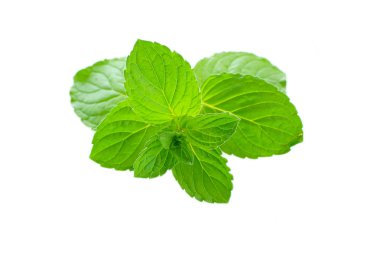 Beyaz üzerinde taze nane yaprakları