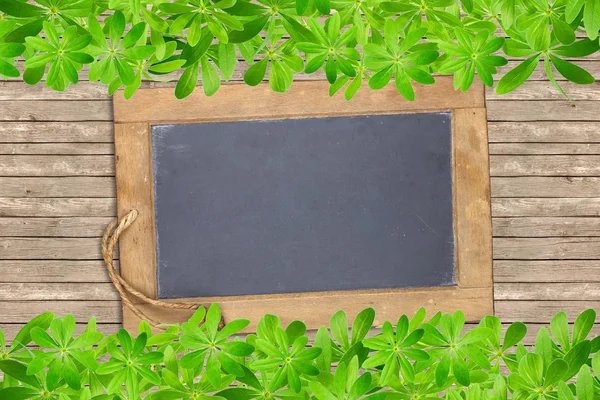 Slate board framed with woodruff — Stock Photo, Image