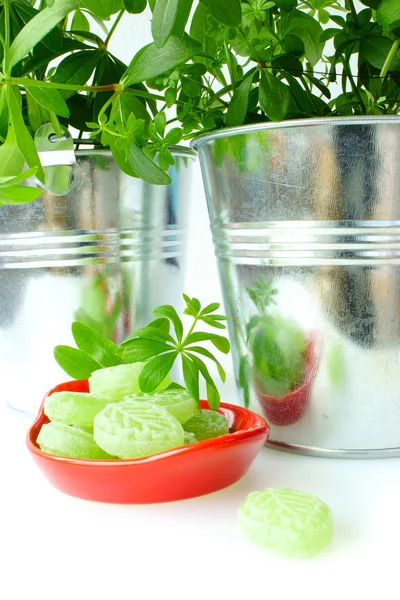 Fresh Woodruff and Candies — Stock Photo, Image