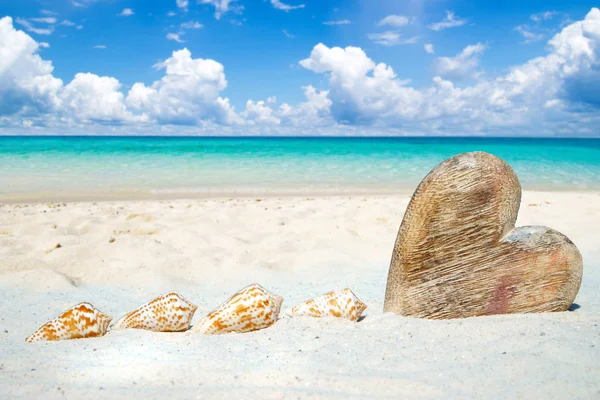 Wooden heart and seashells — Stock Photo, Image