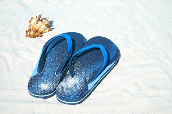 Flip flops och seashell — Stockfoto