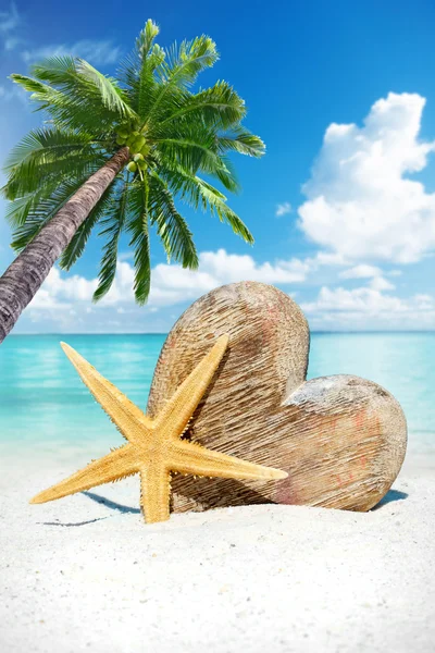 Wooden heart and starfish under palm tree — Stok Foto