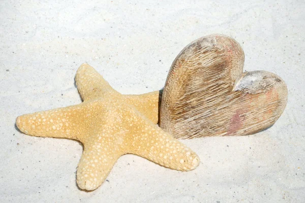 Holzherz und Seesterne im Sand — Stockfoto