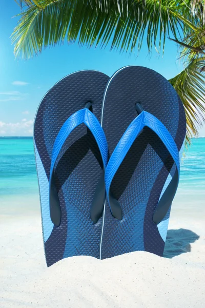 Blue Flip Flops under Plam frond — Stock Photo, Image
