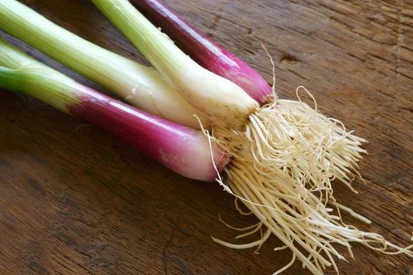 Spring onion on the table — Stock Photo, Image