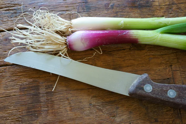 Fresh spring onion — Stock Photo, Image