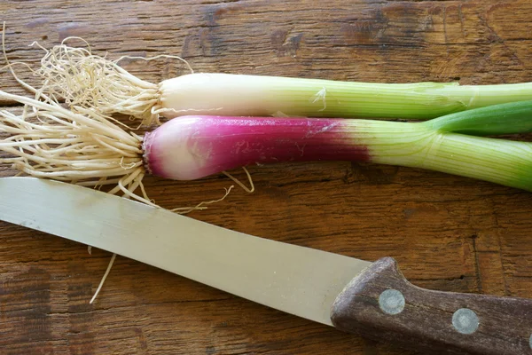 Весенний лук и кухонный нож — стоковое фото
