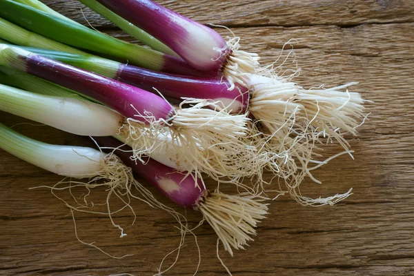 Gäng röda vårlök — Stockfoto