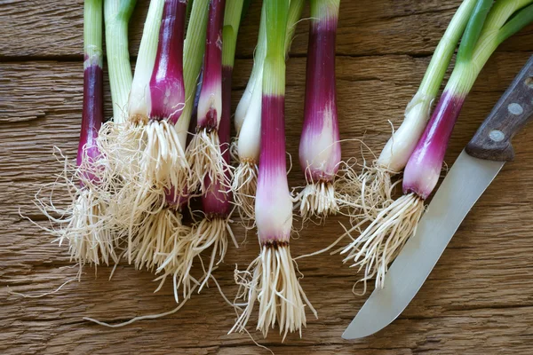 Kitchen knife and spring onions — Stock Photo, Image