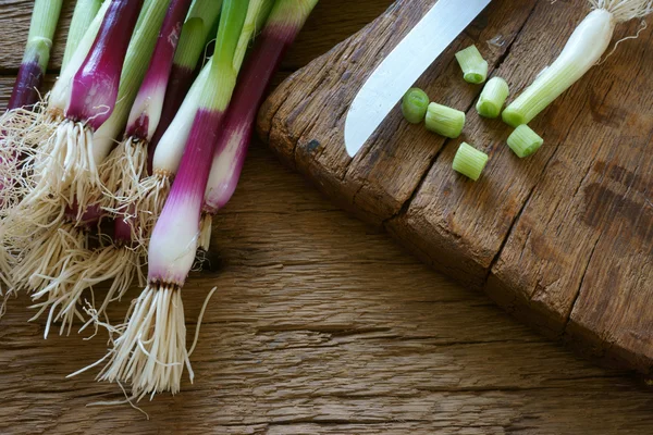 Rode lente-uitjes en snijplank — Stockfoto