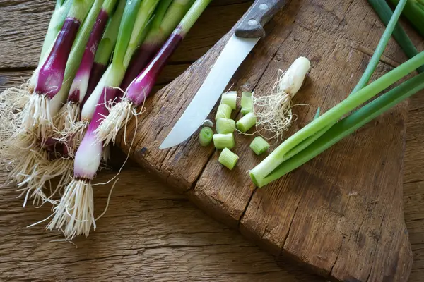 Кухонный нож и лук — стоковое фото