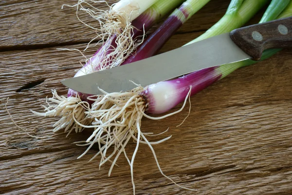 Cortar cebolletas frescas —  Fotos de Stock