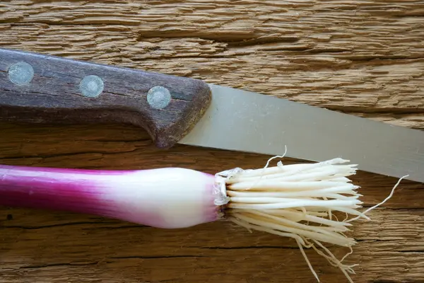 One spring onion and knife — Stock Photo, Image