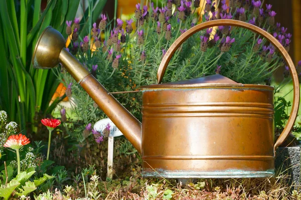 Flowers and Copper Watering can — Stock Photo, Image