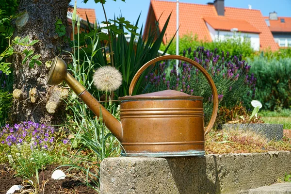 Старая банка для полива меди в саду — стоковое фото
