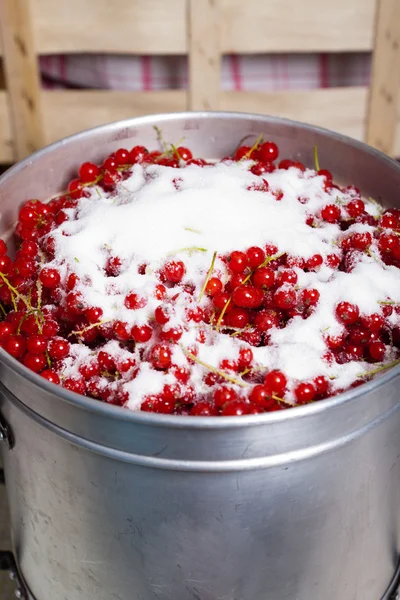 Socker och vinbär i steam juicer — Stockfoto