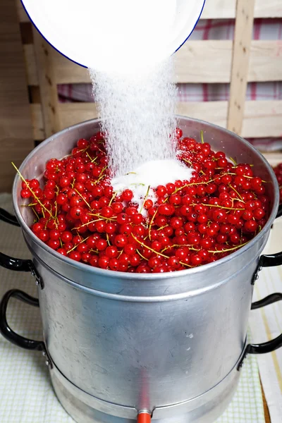 Versare lo zucchero sui ribes — Foto Stock