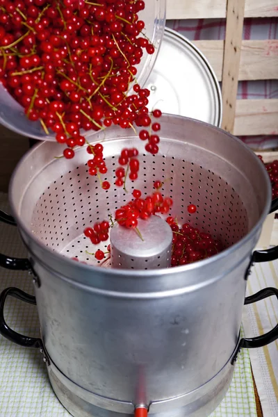 Налейте смородины в экстрактор сока — стоковое фото