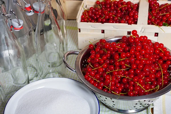 Red ripe currants in colander — Stock Photo, Image