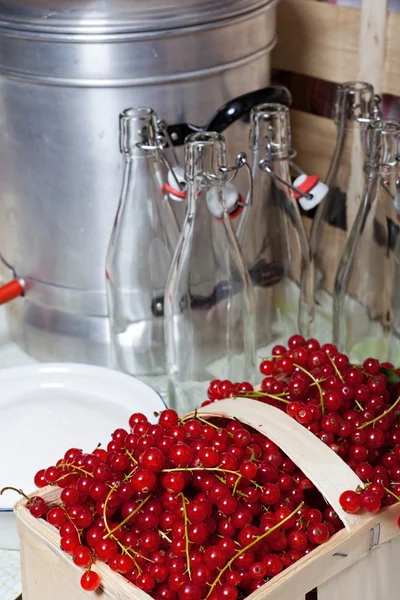 Ripe red currants for syrup — Stock Photo, Image