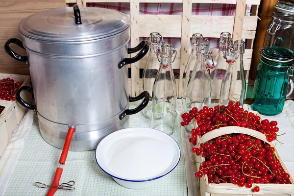 Johannisbeersirup mit Dampfsaftpresse herstellen - Stockfotografie