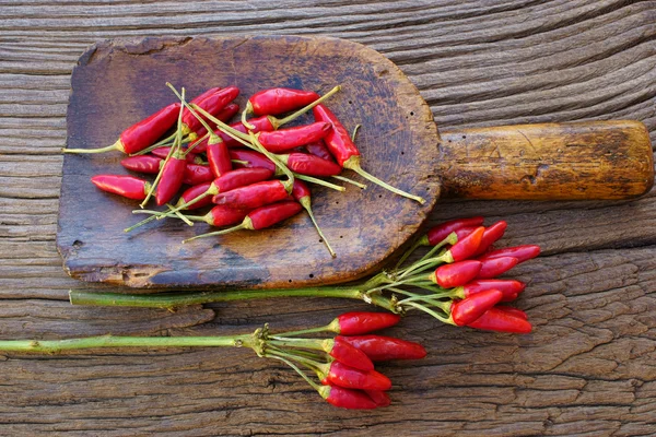 Bouquet de piment sur une cuillère à épices antique — Photo