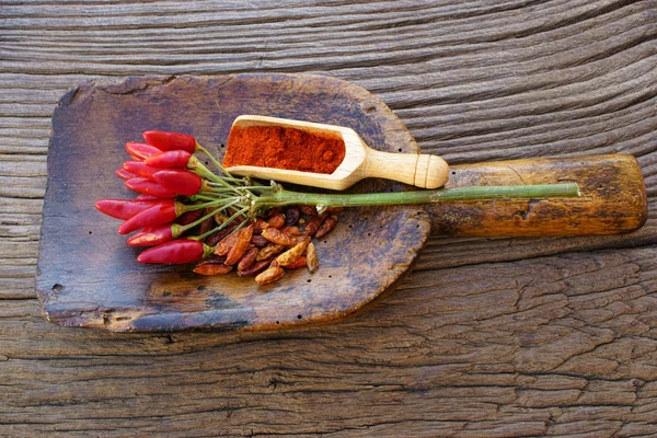 Chili paprika, friss, szárított és por — Stock Fotó