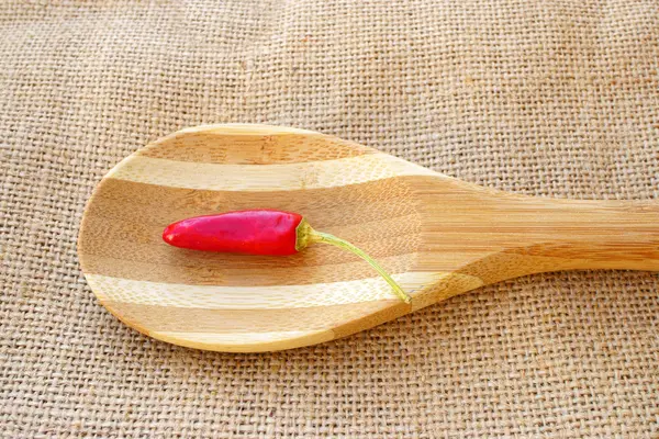 Una vaina de chile en una cuchara de madera — Foto de Stock