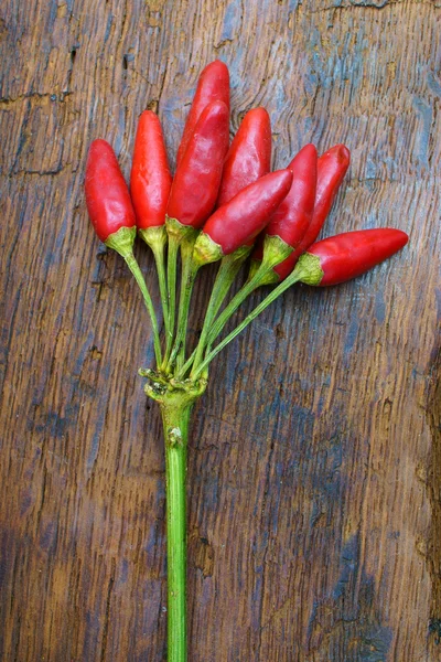 Grono czerwona papryczka chili — Zdjęcie stockowe