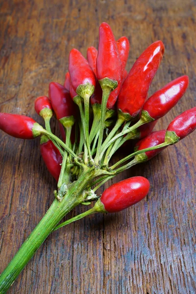Bando de pimenta vermelha quente — Fotografia de Stock