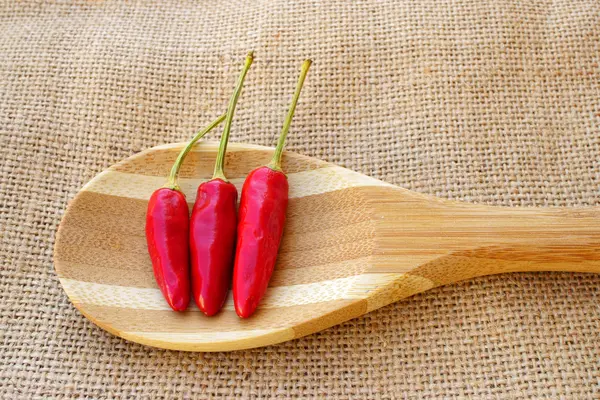 Three Chili pods on a wooden spoon Royalty Free Stock Images