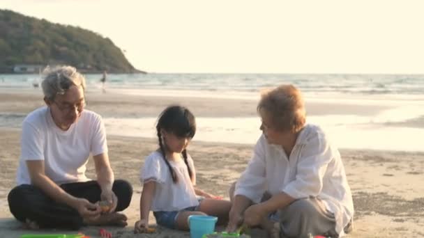 Concetto Familiare Nonno Nonna Che Giocano Con Nipote Sulla Spiaggia — Video Stock