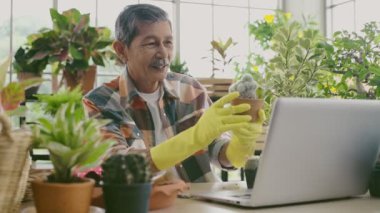 Tarım konsepti. Emekli bir adam bir kaktüsün bilgisayardan nasıl geçirileceğini öneriyor. 4k Çözünürlüğü.
