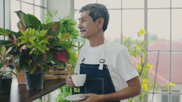 Vakantie Concept Een Gepensioneerde Man Loopt Rond Bomen Tuin Bewonderen — Stockvideo