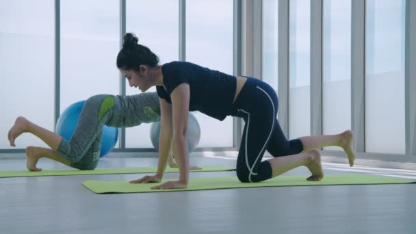 Concept Exercice Résolution Asiatiques Jeunes Femmes Exerçant Dans Salle Gym — Video