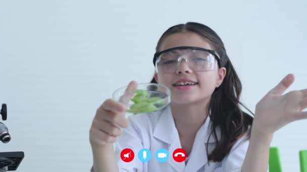 Video Volání Koncept Rozlišení Studenti Prezentující Laboratorní Experimenty — Stock video