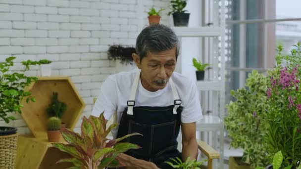 4K解像度の農業概念 コンピュータによる植物の販売を提供するアジアの老人 — ストック動画