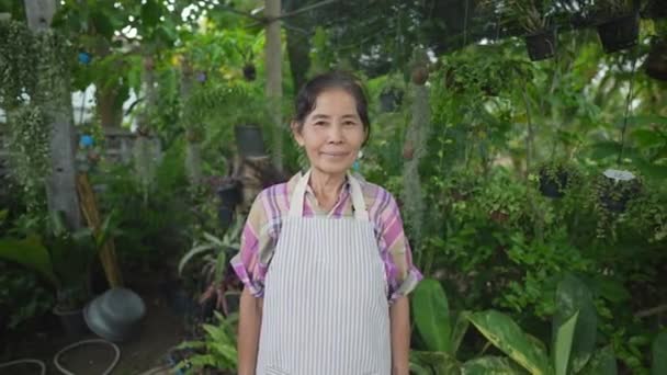 4K解像度の農業概念 アジアの年上の女性は園芸に自信があります — ストック動画