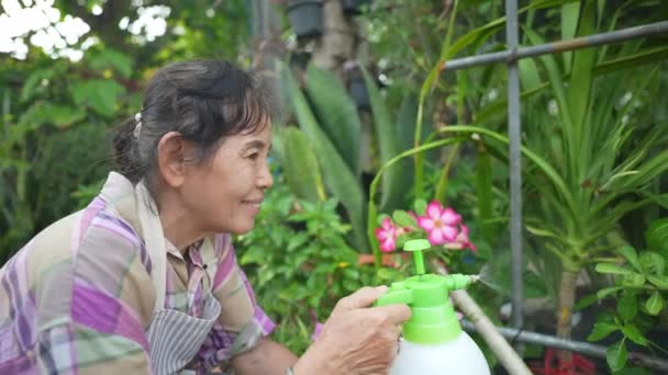 4K解像度の農業概念 庭に古いアジアの女性が木のホルモンを注射してる — ストック動画