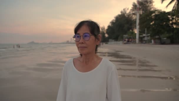 Concepto Viaje Resolución Una Anciana Caminando Por Playa — Vídeos de Stock
