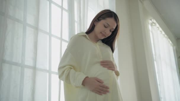 Έγκυος Γυναίκα Έννοια Του Ψηφίσματος Μια Ασιάτισσα Φροντίζει Στομάχι Της — Αρχείο Βίντεο