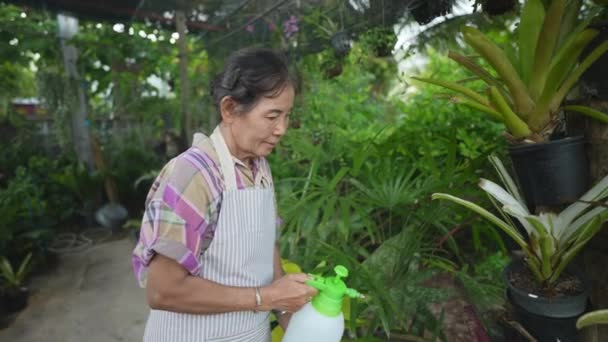 Konsep Pertanian Resolusi Seorang Wanita Asia Tua Menyiram Tanaman Kebun — Stok Video