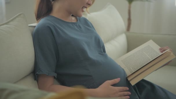 4K解像度の妊娠中の女性の概念 居間で本を読んでいる女性 — ストック動画