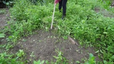 4k Çözünürlük Tarım Konsepti. Bahçedeki çimleri biçen çiftçiler.